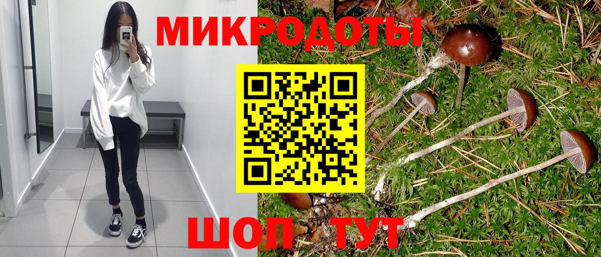 наркотики  Псилоцибиновые грибы Psilocybe  Вход с VPN  Дмитров 